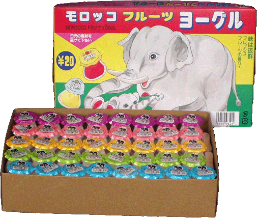 モロッコ　ヨーグル